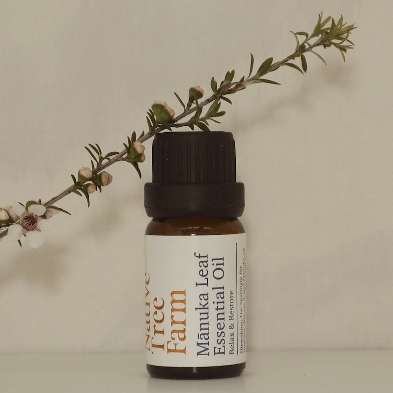 Manuka Leaf Essential Oil (10ml) - Native Tree Farm